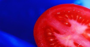 Tomato