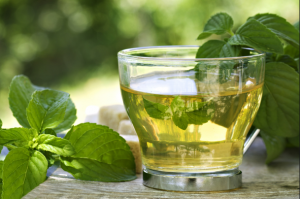 green tea helps us to slim down