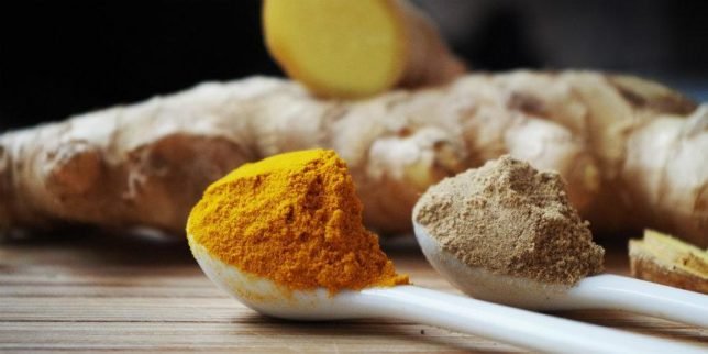 fat burning foods